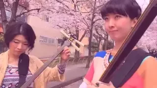 Shamisen Under The Cherry Blossoms II - Ki&Ki 輝&輝 津軽三味線