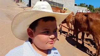 120 BOIADAS NO ENCONTRO DOS CARREIROS EM SÃO JOÃO DA MATA  MG