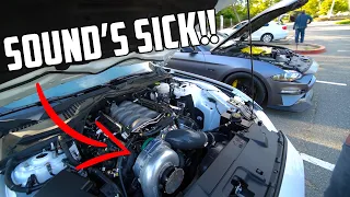 PROCHARGED Mustang First Drive Impressions from a WHIPPLE Mustang Owner! (740RWHP!)