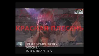 КОНЦЕРТ ГРУППЫ КРАСНАЯ ПЛЕСЕНЬ 19 ФЕВРАЛЯ 2010 ГОДА. МОСКВА. КЛУБ ПЛАН "Б"