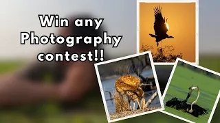"Capture the Prize: Tips and Strategies for Winning Photography Contests"