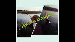 ДВА В ОДНОМ!!! Ловля щуки и карася в одном видео!