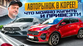 ЕДЕМ В СУВОН! ЧТО можно КУПИТЬ в октябре 2023? Авто из Кореи. Состояние, цены, комплектации..