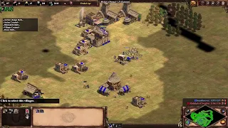 How to beat the Extreme AI in 13 minutes (AoE2DE)