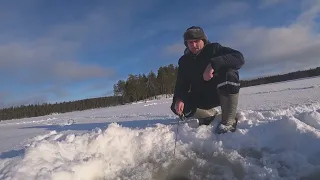 ЗИМНЯЯ РЫБАЛКА В ФЕВРАЛЕ !  ЭТА  БЛЕСНА ВСЕГДА ЛОВИТ ОКУНЯ !