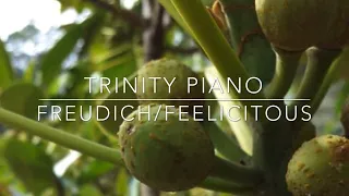 FreuDich/Feelicitous, Michael Proksch, Trinity Piano Grade 2, 2021-2023