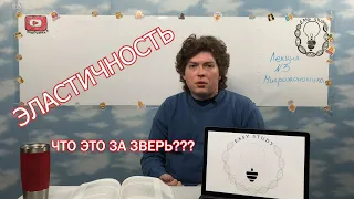 Эластичность. Лекция 3. Еврейская микроэкономика