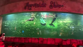 Mermaid show ocean dream samudra ancol !!! Bagus dan seru banget lo