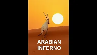 Знойная Аравия (Аравийский инферно) / Arabian Inferno 3 Жизнь и смерть в дюнах 4К