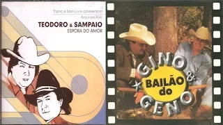 BAILÃO DO TEODORO E SAMPAIO & GINO E GENO 1996 a 2000 (30 Músicas )