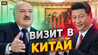 Лукашенко свалил в Китай и сдал Путина - Пионтковский