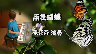 兩隻蝴蝶Two Butterflies - 張芬芬演奏