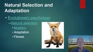 AP Psychology Biological Bases of Behaviour Part 4