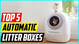 5 Best Automatic Litter Boxes For 2023