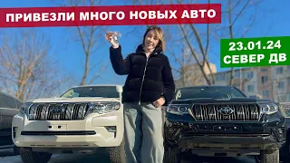 Привезли PRADO, ALPHARD, FORESTER и ещё много чего из ЯПОНИИ! Север ДВ