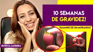 10 SEMANAS DE GRAVIDEZ | Patrícia Moreira - Boa Gravidez