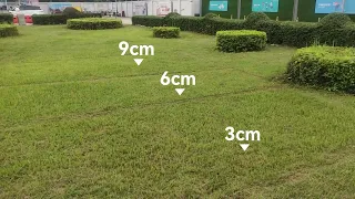 TRON's Mowing Test at Different Heights🌿⚙️