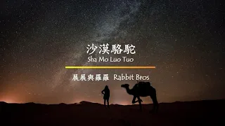 Rabbit Bros 展展與羅羅 - Sha Mo Luo Tuo (Dessert Camel) Pinyin Lyrics 沙漠駱駝歌詞