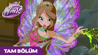 World of Winx | TÜRKÇE | S1 Bölüm 3 | Timsah adam efsanesi | TAM BÖLÜM