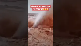 😨🤯WATER IN THE DESERT!? #water #saudiarabia #bible #shorts #water #desert #prophecy #nafudaldahi