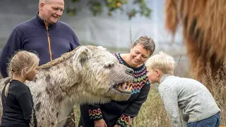 15 Unusual Pets You’ll See For the First Time in Your Life