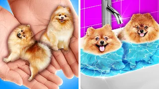 RAGAZZA RICCA SALVA CANE RANDAGIO || Makeover Cucciolo Senza Casa! Hack & Gadget Da Avere su 123 GO!