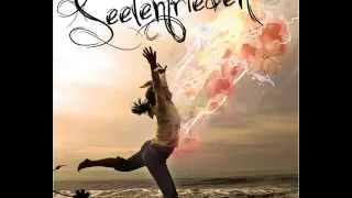 bass sultan hengzt - seelenfrieden feat. sido ♥