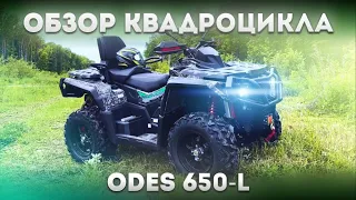 ОБЗОР КВАДРОЦИКЛА ODES 650 L