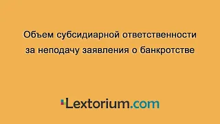 Объем субсидиарной ответственности за неподачу заявления о банкротстве