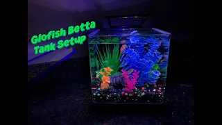 Glofish Betta Tank Unboxing & Setup!