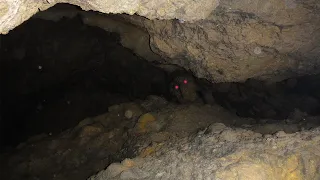 Эта пещера была изолирована много миллионов лет, и наконец её нашли, а там..