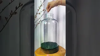 How to grow plant🌱 from seeds | Nano glass Vase aquarium | Planted glass bowl | glofish tank setup |