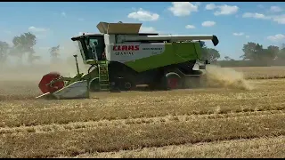 Claas Lexion 600 TT + Lexion 780