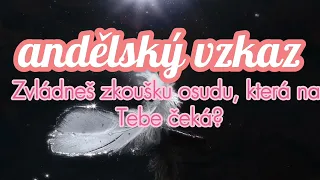 ČEKÁ TĚ ZKOUŠKA OSUDU! 💗🍥🌸  ANDĚLÉ TI PŘINÁŠÍ VZKAZ JAK JI ZVLÁDNEŠ ˗ˏˋ ꒰ 💌 ꒱ ˎˊ˗