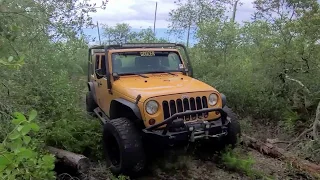 Tread Lightly! Jeep Badge of Honor Trail  - Ocala National Forest   Ocala, FL