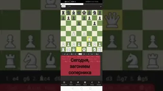 Соперник загнан в угол, выход только через мат!) #shorts #chess.com #gummat #шахматы