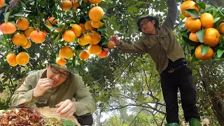 Great.. !! Traditional Way To Catch Many  Crabs In Waterfall | Kien daily life