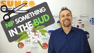 idioms 101 - nip something in the bud