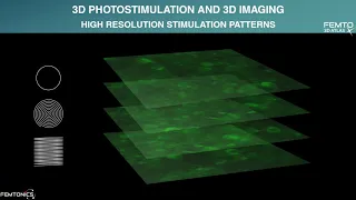 WEBINAR: Atlas for Science - Capture fast fluorescence changes from network to spine scale