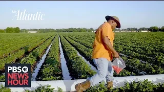 How southern black farmers were forced from their land, and their heritage