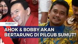Pilgub Sumut: PDIP Berencana Usung Ahok & Djarot, Bobby Nasution Berpeluang Diusung Golkar