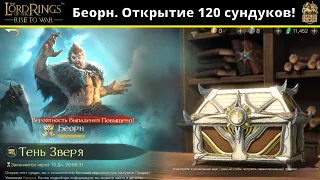 LOTR: Rise to War | Беорн. Открытие 120 сундуков!