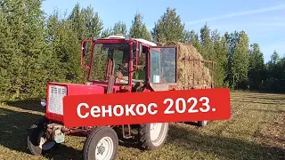 Сенокос 2023.