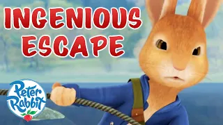 â€‹@OfficialPeterRabbit  - Peterâ€™s Ingenious Escape Route | Cartoons for Kids