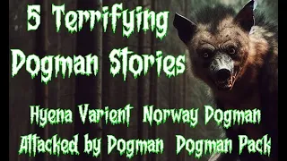 5 Dogman Stories - Dogman Attacks Campers, Hyena Dogman, Pack of Dogmen, Dogman in Norway