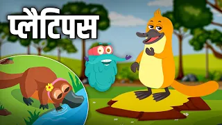 प्लैटिपस | Platypus In Hindi | Duck Billed Platypus Animal | Dr.Binocs Show | Binocs Ki Duniya