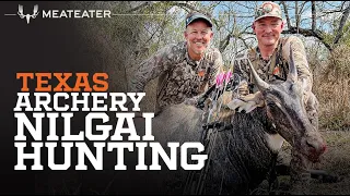 Texas Archery Nilgai | On the Hunt