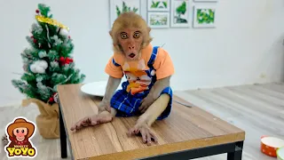 Monkey YiYi so angry when Ủn Ỉn eats all of her food