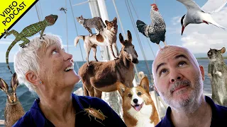 Animals on Boats? (Good Ones Bad Ones) 🦎🐾| Sailing Podcast 046