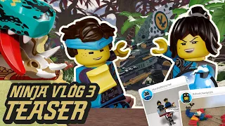 Видеоблог ниндзя №3: Время для дракона! | Ния и Джей из LEGO NINJAGO